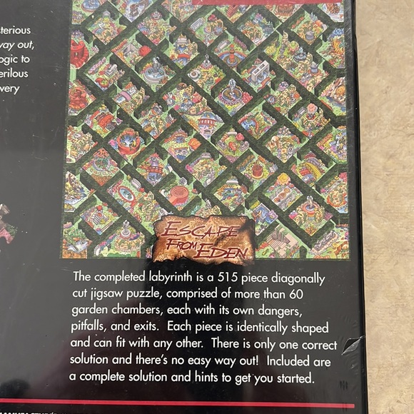 Lost In A Jigsaw Diagonal Maze Puzzle - Picture 6 of 6